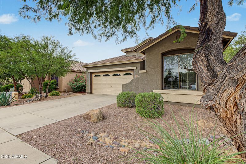 3382 E Packard Dr, Gilbert, AZ 85298