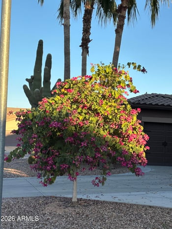 3393 Canyon Way, Chandler, AZ 85249
