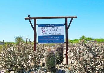 33XXX 141st St #-, Scottsdale, AZ 85262