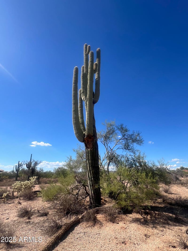 33XXX 55th St #-, Cave Creek, AZ 85331