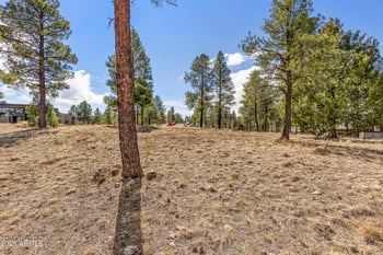 3401 Brown Sage Ct #261, Flagstaff, AZ 86005