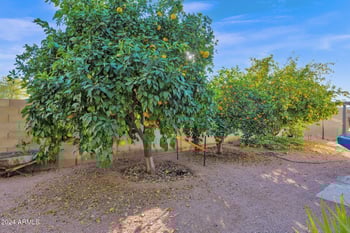 3401 Dakota St, Chandler, AZ 85225