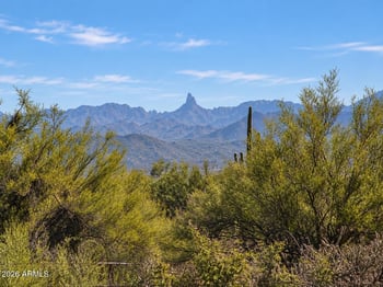 340XX N 139th Way #1, Scottsdale, AZ 85262