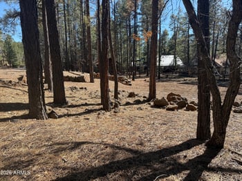3430 Blacksmith Trl #-, Pinetop, AZ 85935