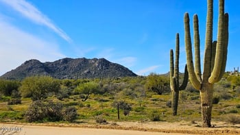 34300 136th St #-, Scottsdale, AZ 85262