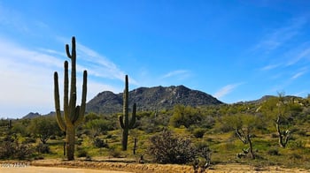 34300 136th St #-, Scottsdale, AZ 85262