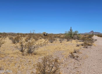 34380 Carefree Hw #250, Wickenburg, AZ 85390