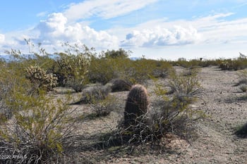 343xxx Highland Lot 10 Ave #10, Tonopah, AZ 85354