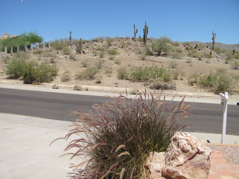 3441 E Rockledge Rd, Phoenix, AZ 85044