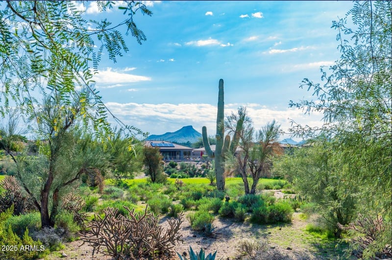 34415 99th St, Scottsdale, AZ 85262