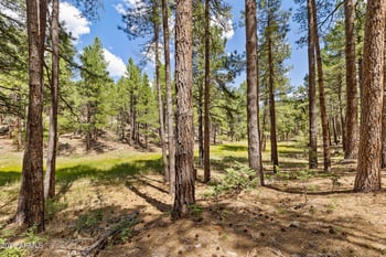 3456 Laurie Ln #9, Flagstaff, AZ 86005