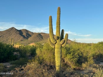 34850 Cave Creek Rd #-, Cave Creek, AZ 85331