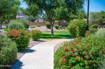 3498 Patrick St, Gilbert, AZ 85295