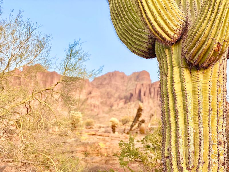 3500 N Val Vista Rd #None, Apache Junction, AZ 85119