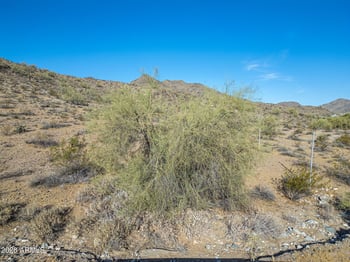 3502 Pepper Grass Way #408, Buckeye, AZ 85396