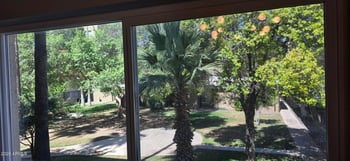 351 E Thomas Rd #D208, Phoenix, AZ 85012