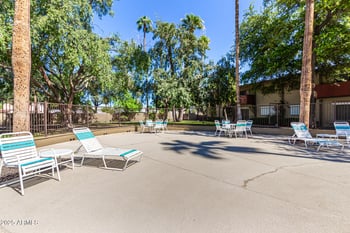 351 Thomas Rd #D505, Phoenix, AZ 85012