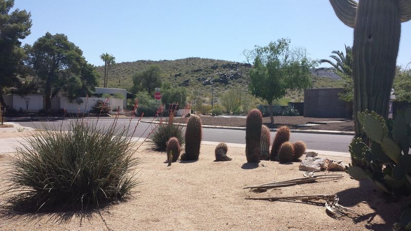 3514 E Hatcher Rd, Phoenix, AZ 85028