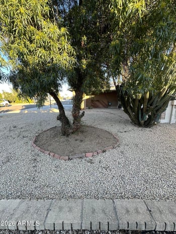 3517 Willow Ave, Phoenix, AZ 85029