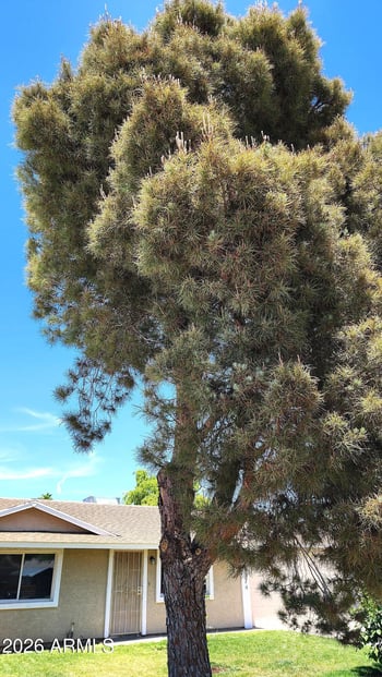 3524 Winchcomb Dr, Phoenix, AZ 85032