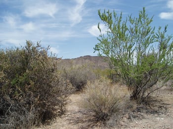 35301 323rd Ave #80, Unincorporated County, AZ 85361