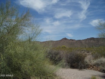 35301 323rd Ave #80, Unincorporated County, AZ 85361