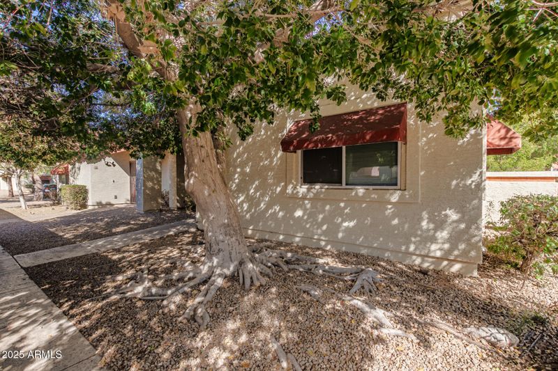 3535 W Monte Cristo Ave #115, Phoenix, AZ 85053