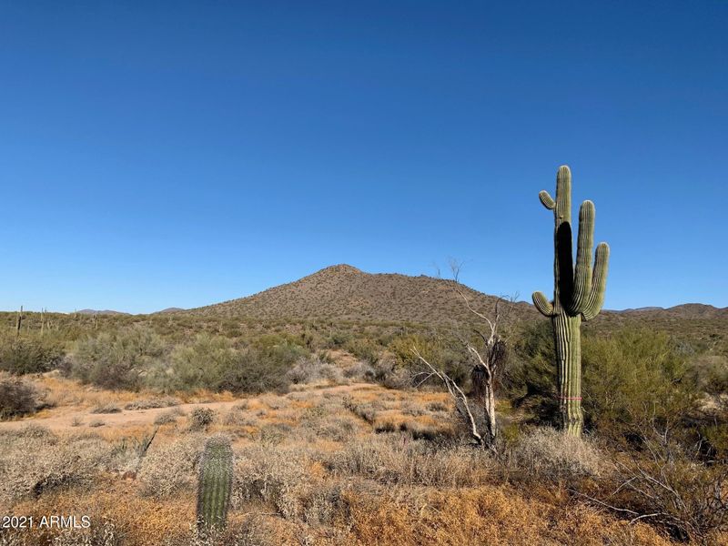 35360 N 46th Way #11, Cave Creek, AZ 85331