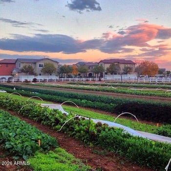 3541 Shannon St, Gilbert, AZ 85295