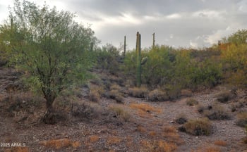 3542 New River Rd, New River, AZ 85087