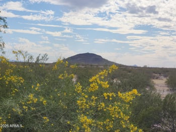 3544 Chapparel Dr, Florence, AZ 85132