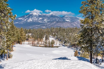 3560 Clubhouse Cir, Flagstaff, AZ 86005