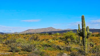 35605 138th Way #-, Scottsdale, AZ 85262