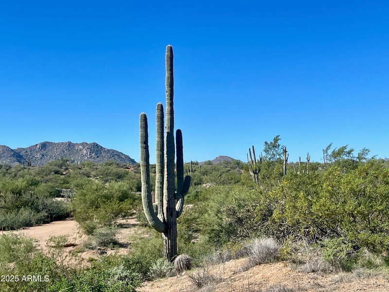 356XX 142nd Pl #-, Scottsdale, AZ 85262