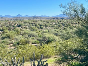 356XX 142nd Pl #-, Scottsdale, AZ 85262