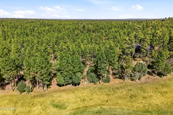 3581 Senna Ln #247, Show Low, AZ 85901