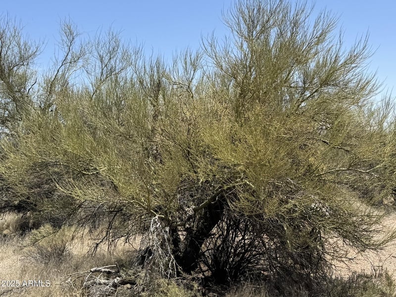 358XX 136th St #-, Scottsdale, AZ 85262