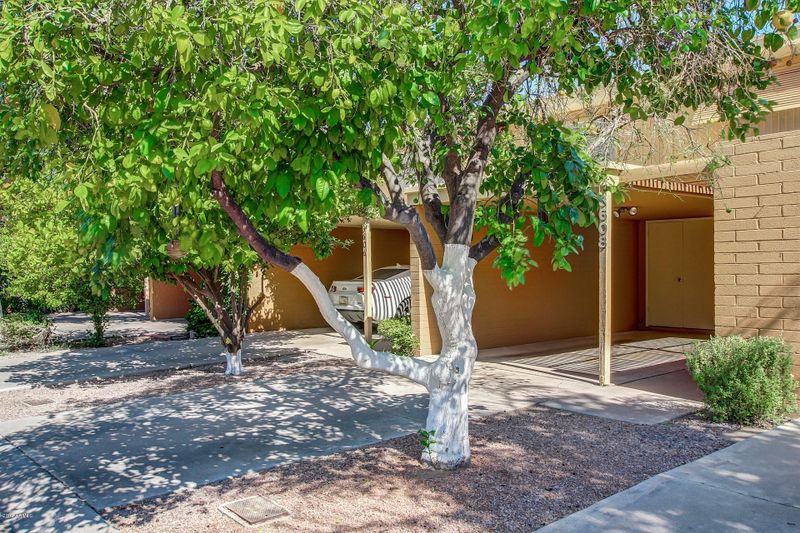 3608 E Osborn Rd, Phoenix, AZ 85018