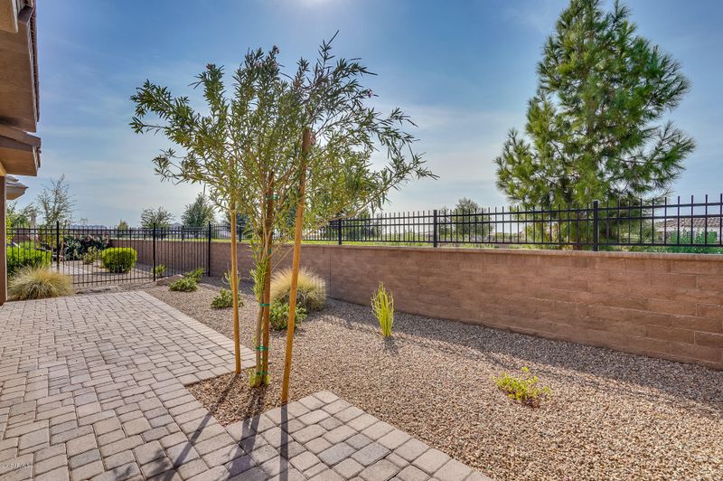 36202 N Desert Tea Dr, San Tan Valley, AZ 85140