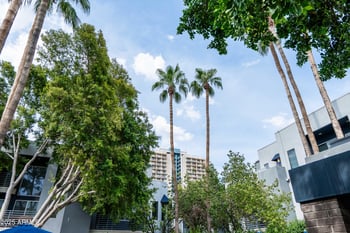 3633 3rd Ave #2043, Phoenix, AZ 85013