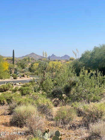 36352 105th Way #238, Scottsdale, AZ 85262