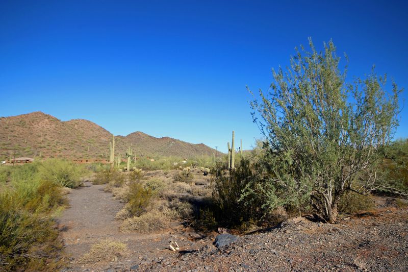 36478 N 58th St #29, Cave Creek, AZ 85331