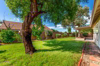 3655 Del Rio St, Chandler, AZ 85226