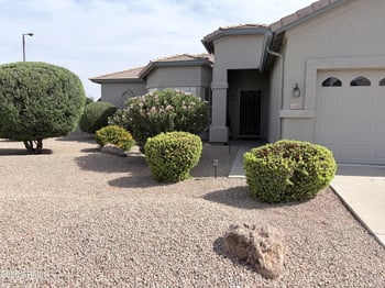 3658 Peach Tree Dr, Chandler, AZ 85249