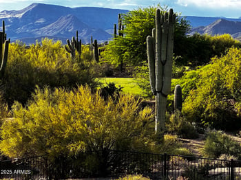 36601 Mule Train Rd #D16, Carefree, AZ 85377