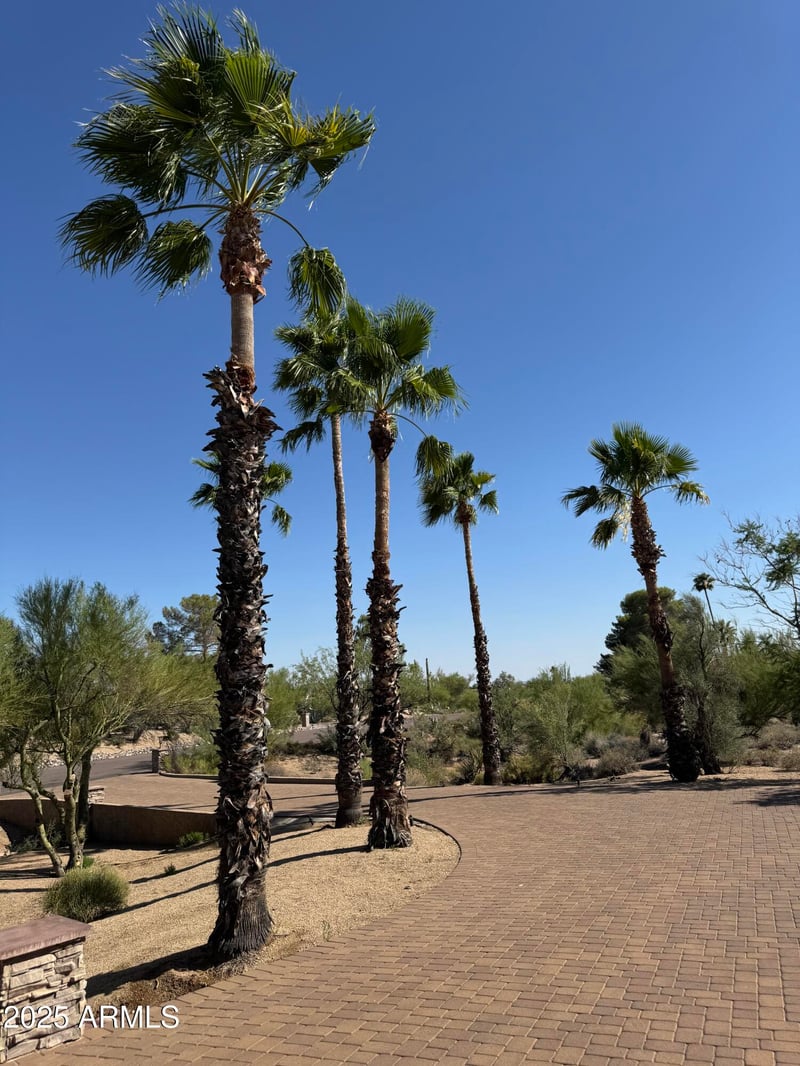 36618 Wildflower Rd, Carefree, AZ 85377