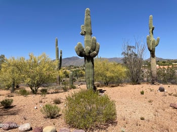 36632 Never Mind Trl, Carefree, AZ 85377