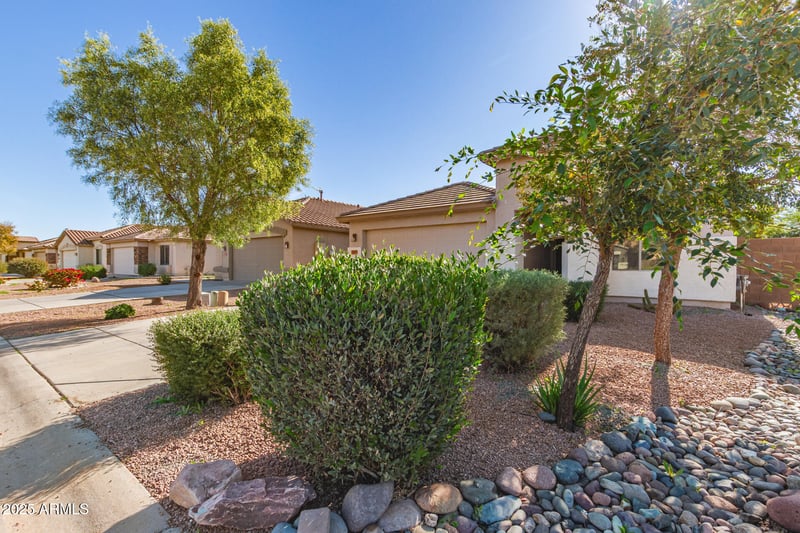 367 Holstein Trl, San Tan Valley, AZ 85143