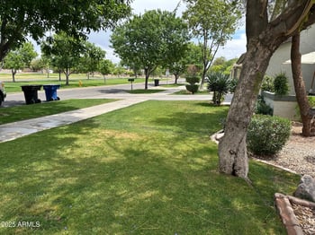 3677 Park Ave, Gilbert, AZ 85234