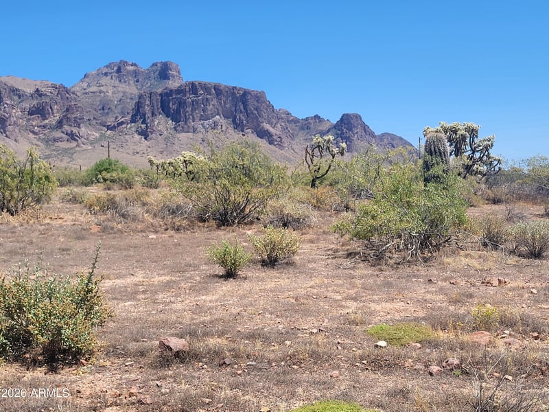3700 Hwy88 -- #4, Apache Junction, AZ 85119